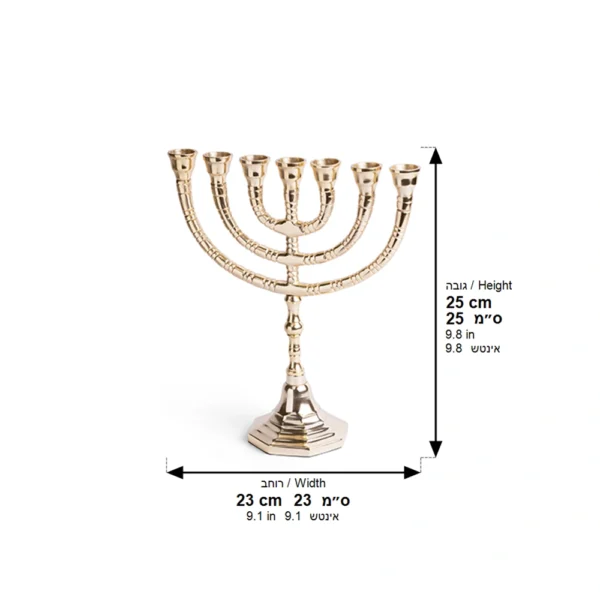 MENORAH ACABADO NIKEL 24cm